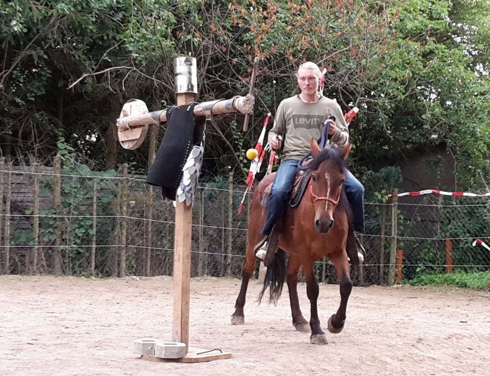 Pferd Dasty übt mit Tom Schwertkampf